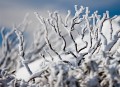 Perisher snowshoes_20060625_050